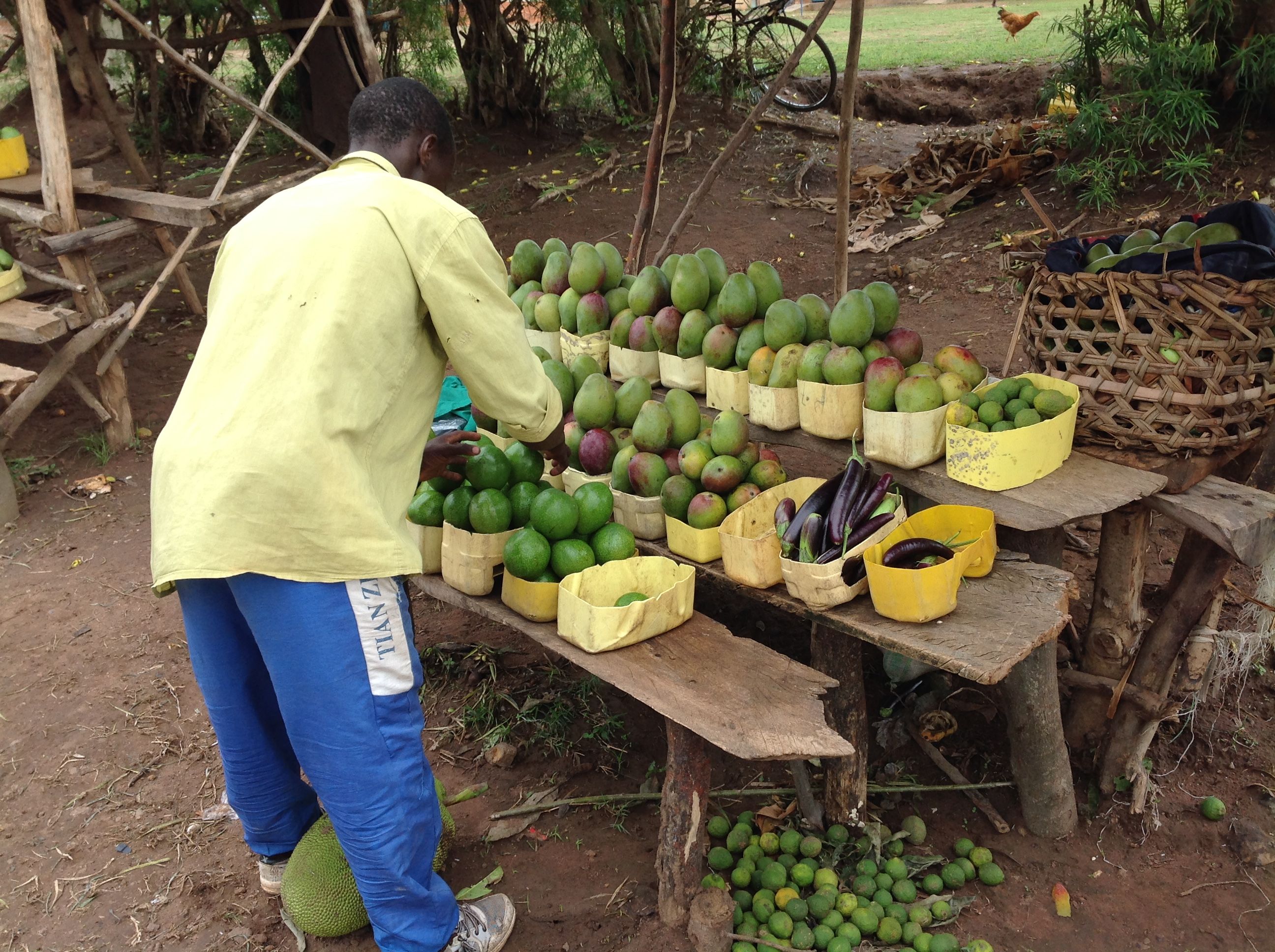 Development Programs